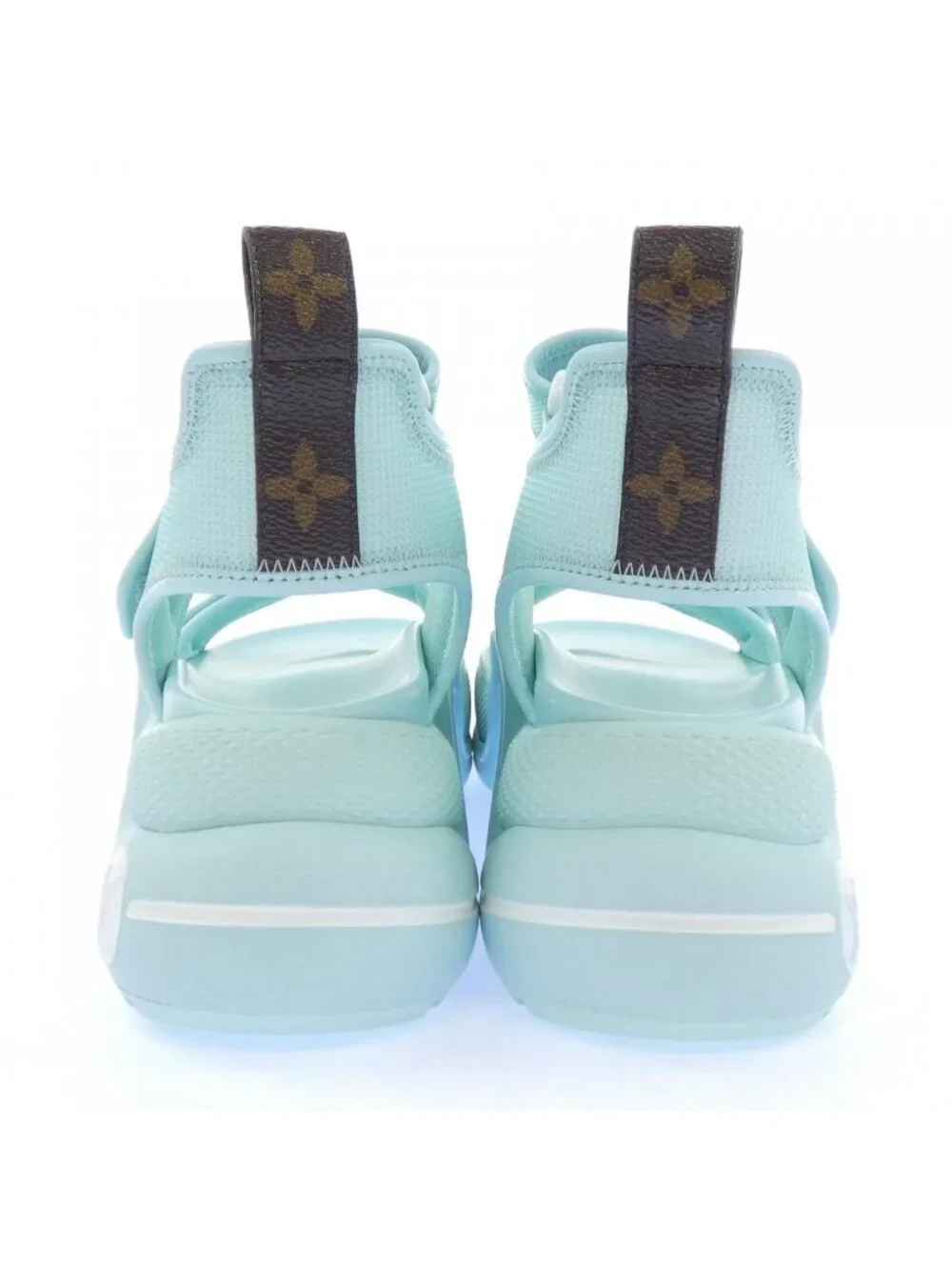 Louis Vuitton brand louis